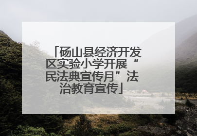 砀山县经济开发区实验小学开展“民法典宣传月”法治教育宣传