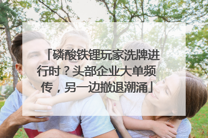 磷酸铁锂玩家洗牌进行时？头部企业大单频传，另一边撤退潮涌