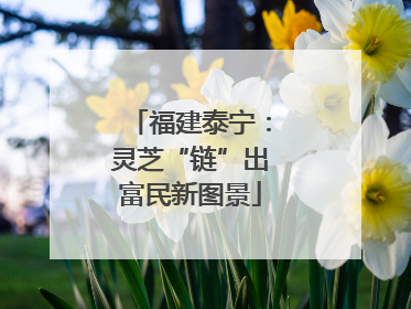 福建泰宁：灵芝“链”出富民新图景