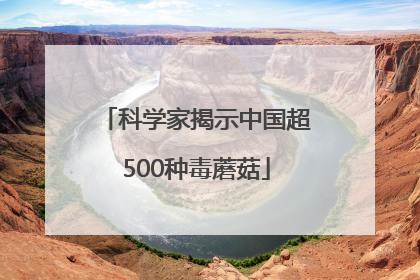 科学家揭示中国超500种毒蘑菇