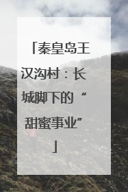 秦皇岛王汉沟村：长城脚下的“甜蜜事业”