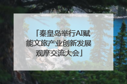 秦皇岛举行AI赋能文旅产业创新发展观摩交流大会