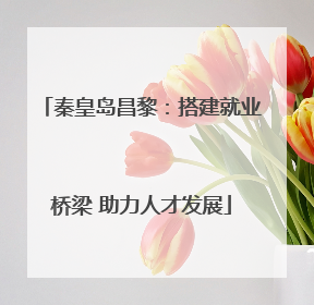 秦皇岛昌黎：搭建就业桥梁 助力人才发展