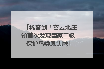 稀客到！密云北庄镇首次发现国家二级保护鸟类凤头鹰