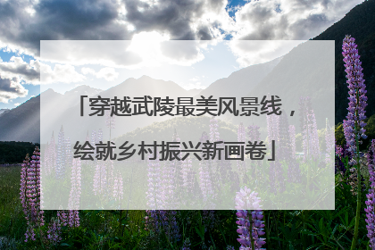穿越武陵最美风景线，绘就乡村振兴新画卷