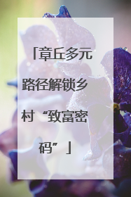 章丘多元路径解锁乡村“致富密码”