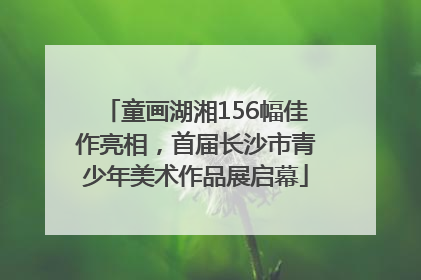 童画湖湘156幅佳作亮相，首届长沙市青少年美术作品展启幕