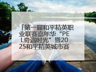 第一届和平精英职业联赛嘉年华“PEL奇遇时光”暨2025和平精英城市赛总决赛盛大启幕