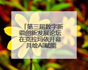 第三届数字新疆创新发展论坛在克拉玛依开幕 共绘AI赋能新图景