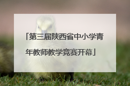 第三届陕西省中小学青年教师教学竞赛开幕