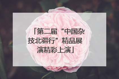 第二届“中国杂技北疆行”精品展演精彩上演