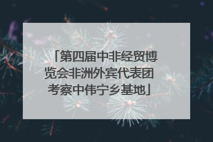 第四届中非经贸博览会非洲外宾代表团考察中伟宁乡基地