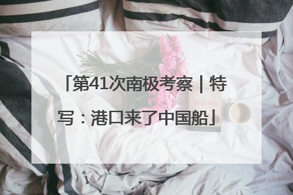 第41次南极考察｜特写：港口来了中国船