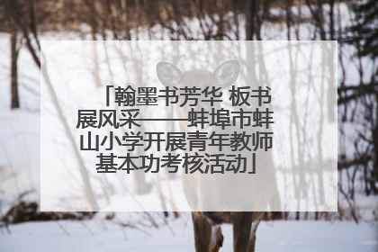 翰墨书芳华 板书展风采——蚌埠市蚌山小学开展青年教师基本功考核活动