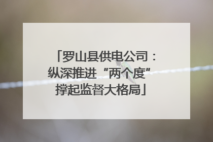 罗山县供电公司：纵深推进“两个度” 撑起监督大格局