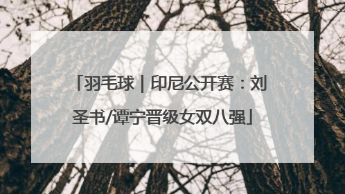 羽毛球｜印尼公开赛：刘圣书/谭宁晋级女双八强
