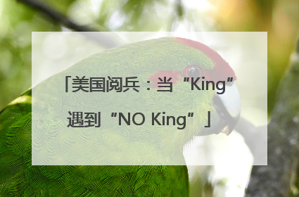 美国阅兵：当“King”遇到“NO King”