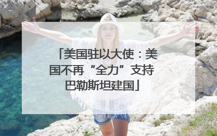美国驻以大使：美国不再“全力”支持巴勒斯坦建国