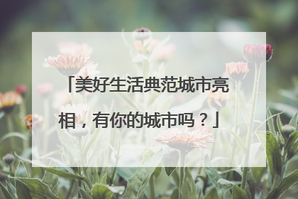 美好生活典范城市亮相，有你的城市吗？