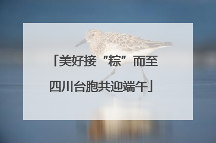 美好接“粽”而至 四川台胞共迎端午