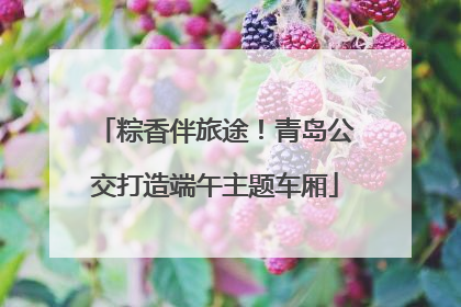 粽香伴旅途！青岛公交打造端午主题车厢