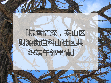 粽香情深，泰山区财源街道科山社区共织端午邻里情