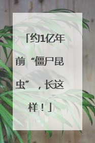 约1亿年前“僵尸昆虫”，长这样！