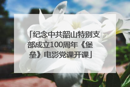 纪念中共韶山特别支部成立100周年《堡垒》电影党课开课