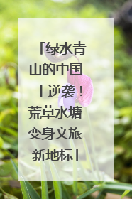 绿水青山的中国丨逆袭！荒草水塘变身文旅新地标