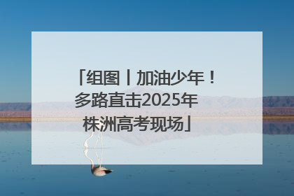 组图丨加油少年！多路直击2025年株洲高考现场