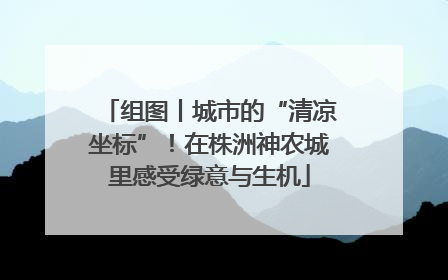 组图丨城市的“清凉坐标”！在株洲神农城里感受绿意与生机