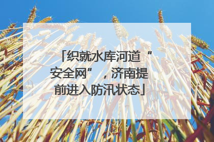 织就水库河道“安全网”，济南提前进入防汛状态