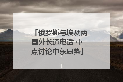 俄罗斯与埃及两国外长通电话 重点讨论中东局势