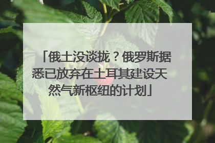 俄土没谈拢？俄罗斯据悉已放弃在土耳其建设天然气新枢纽的计划