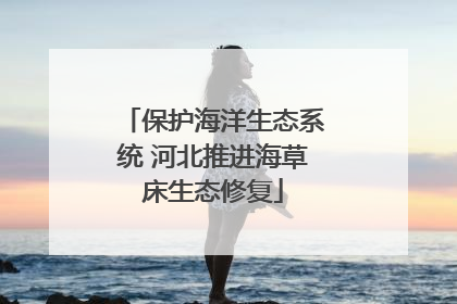 保护海洋生态系统 河北推进海草床生态修复