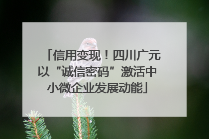 信用变现！四川广元以“诚信密码”激活中小微企业发展动能