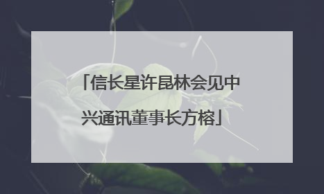 信长星许昆林会见中兴通讯董事长方榕