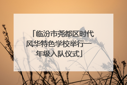临汾市尧都区时代风华特色学校举行一年级入队仪式