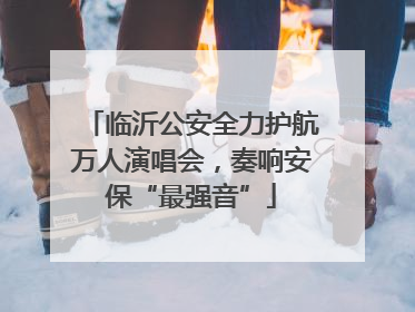 临沂公安全力护航万人演唱会，奏响安保“最强音”