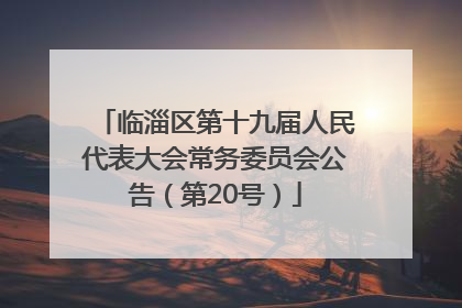 临淄区第十九届人民代表大会常务委员会公告（第20号）