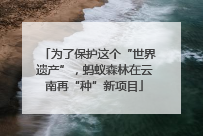 为了保护这个“世界遗产”，蚂蚁森林在云南再“种”新项目