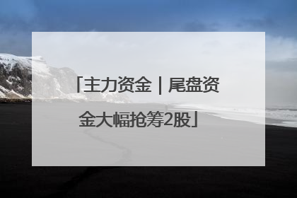 主力资金｜尾盘资金大幅抢筹2股