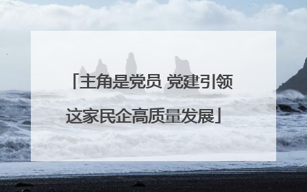 主角是党员 党建引领这家民企高质量发展