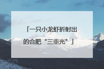 一只小龙虾折射出的合肥“三重光”