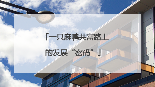 一只麻鸭共富路上的发展“密码”