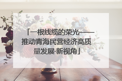 一根线缆的荣光——推动青海民营经济高质量发展·新视角