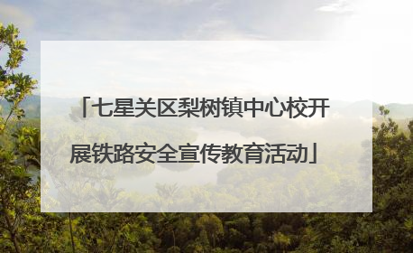 七星关区梨树镇中心校开展铁路安全宣传教育活动