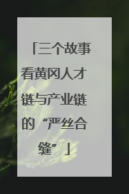 三个故事看黄冈人才链与产业链的“严丝合缝”