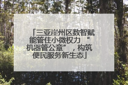 三亚崖州区数智赋能管住小微权力 “机器管公章”，构筑便民服务新生态