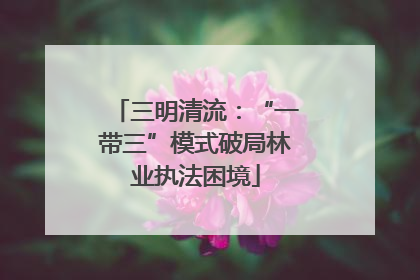 三明清流：“一带三”模式破局林业执法困境